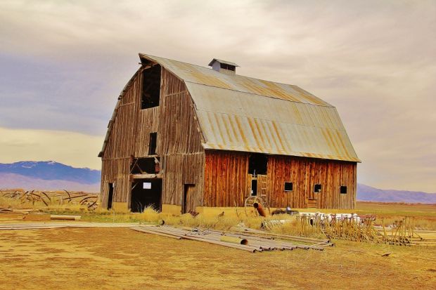 Barn